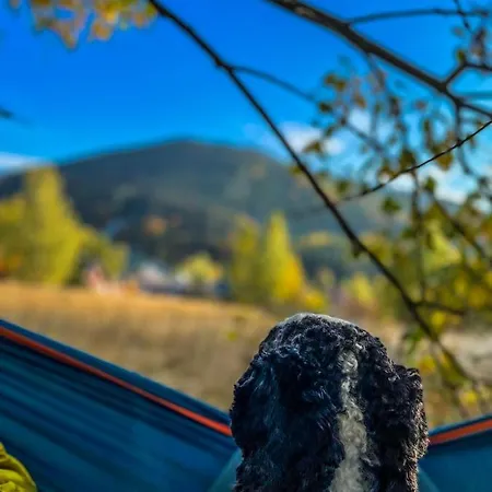Πανσιόν Pension Harrachov