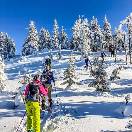 Affittacamere Pension Harrachov Harrachov